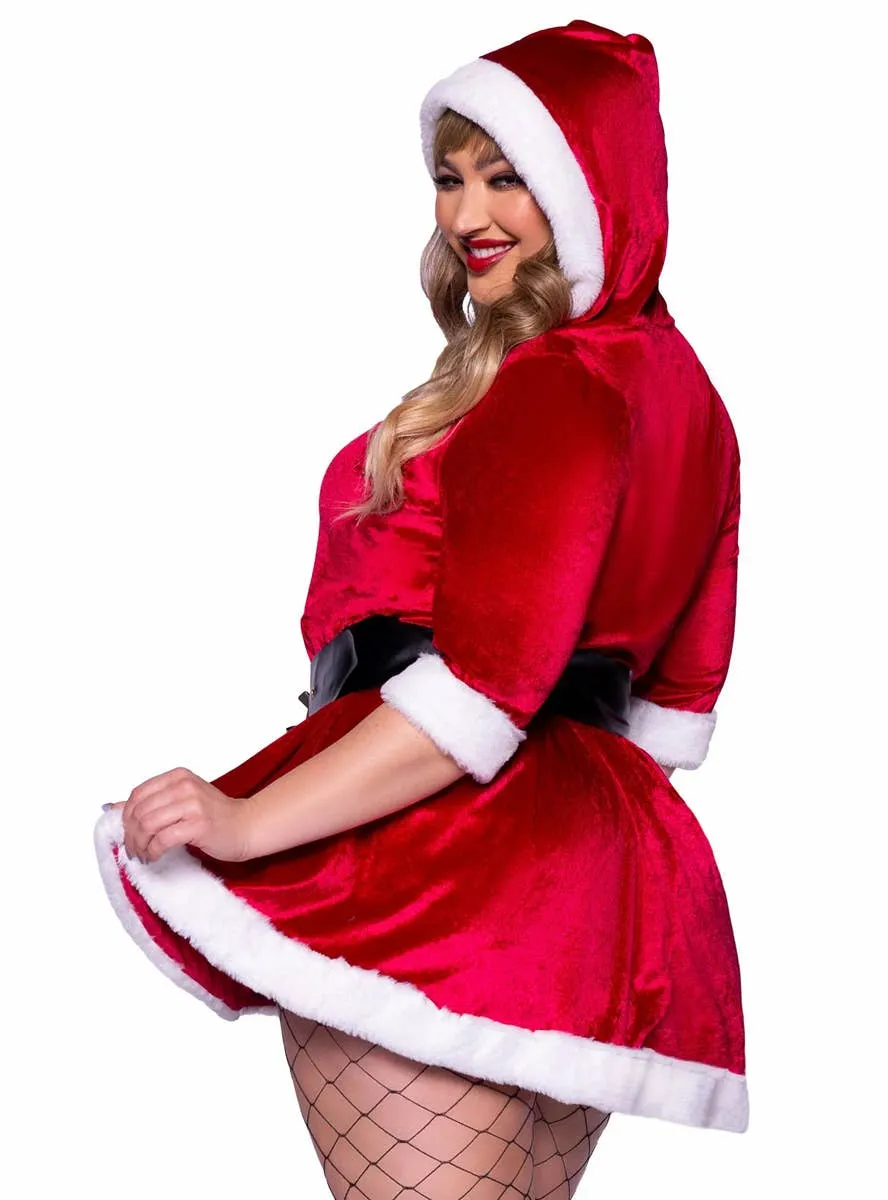 Mrs Claus Plus Size Womens Christmas Costume