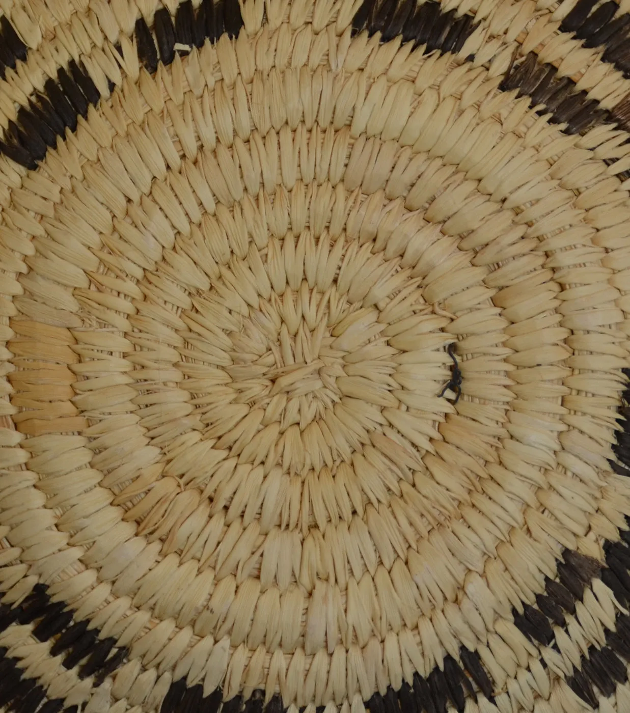 Native American Basket: Navajo Wedding Trey Basket : Basket 3