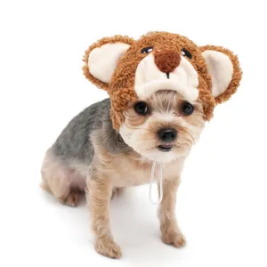 Teddy Bear Hat