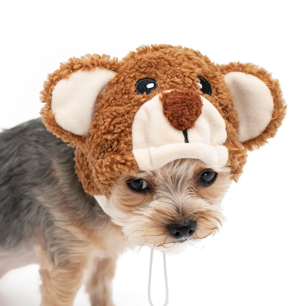 Teddy Bear Hat